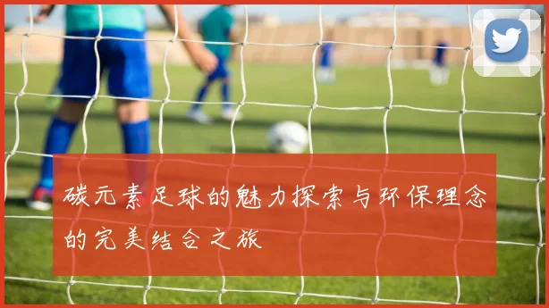 碳元素足球的魅力探索与环保理念的完美结合之旅